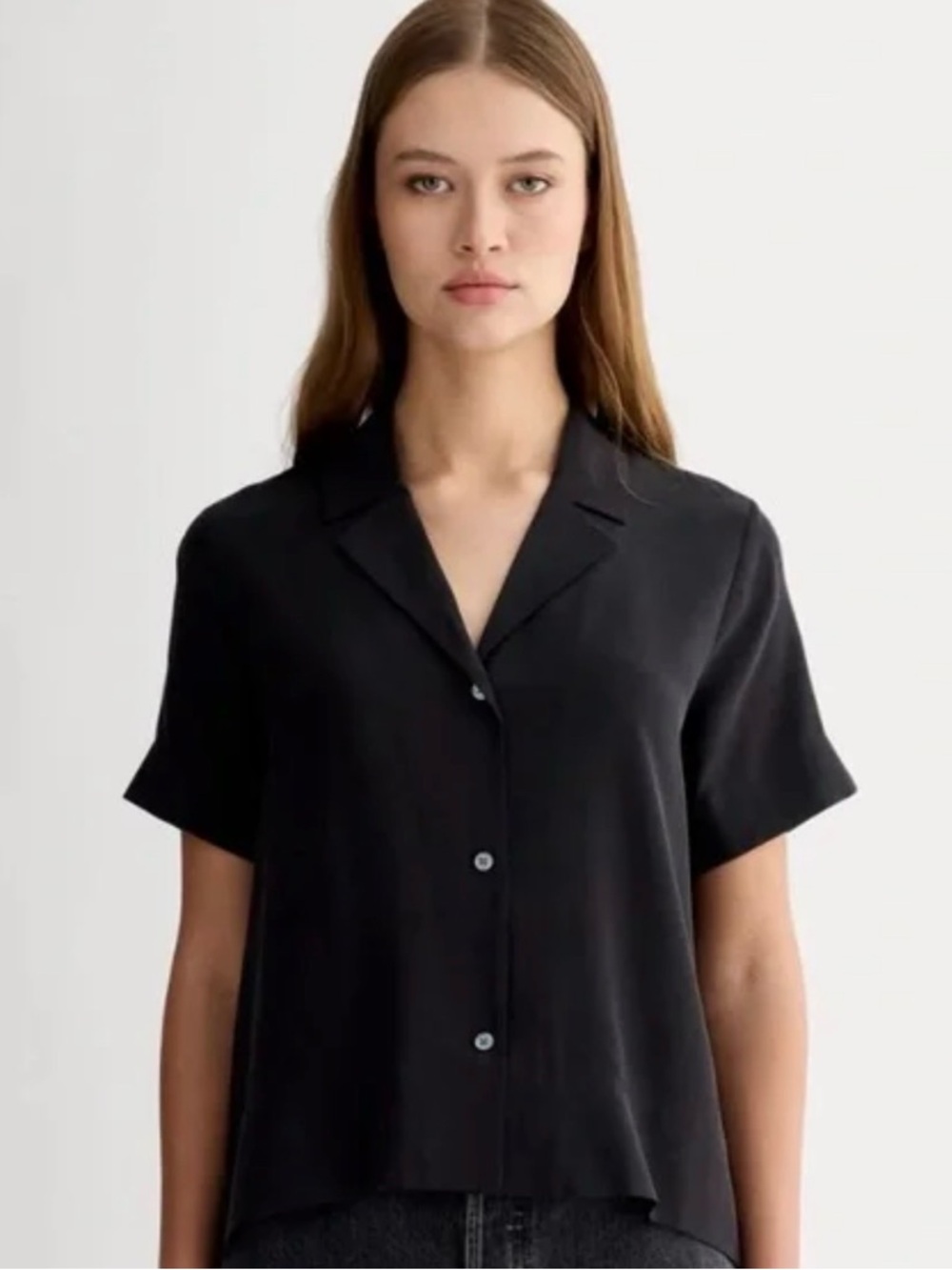 Everlane Washable Silk Notch Shirt